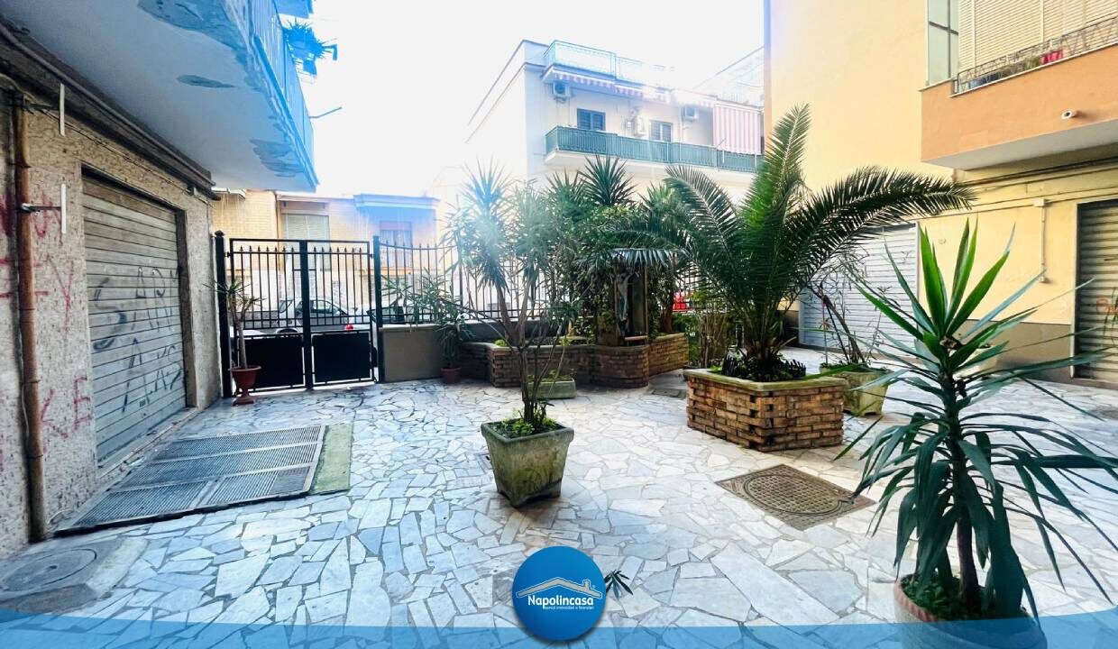 cortile con logo